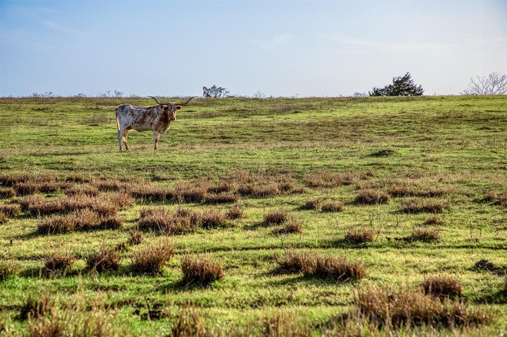 12893 E State Highway 97, Waelder, Texas image 34