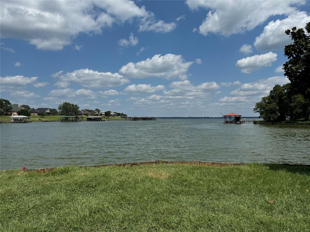 180 Harbor View Drive, Livingston, Texas image 3