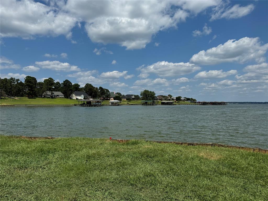 180 Harbor View Drive, Livingston, Texas image 5