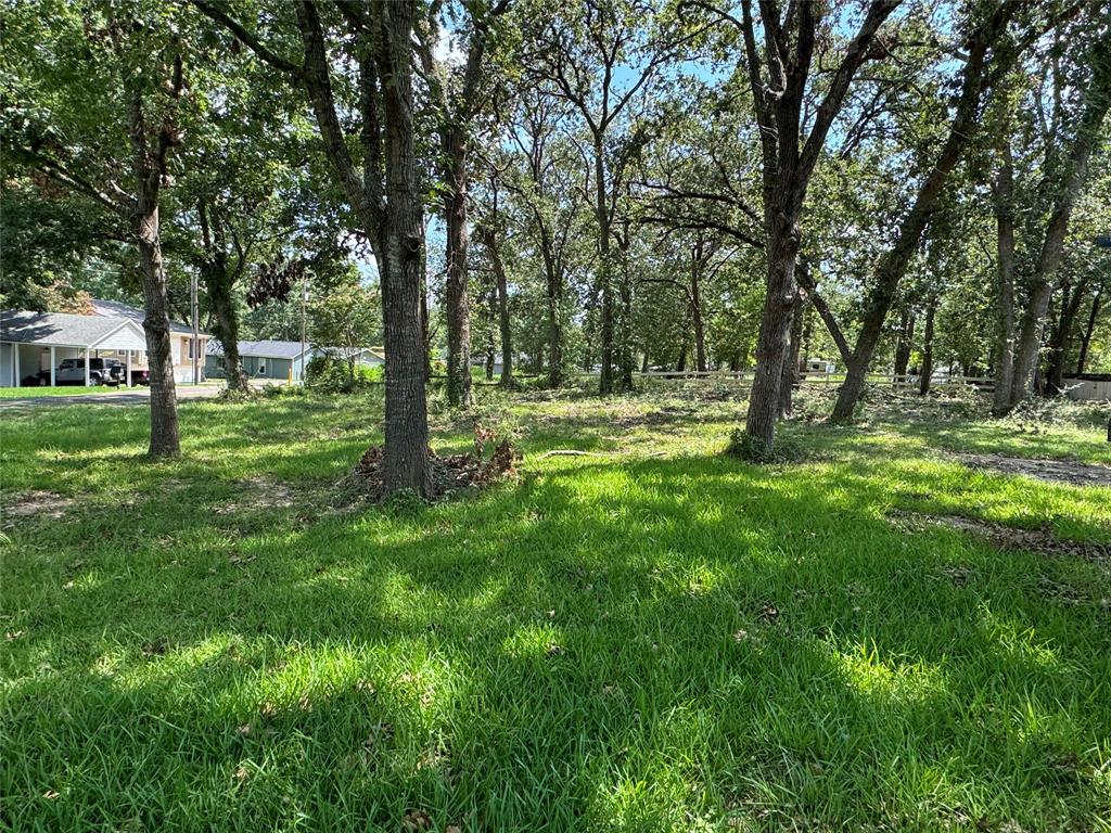 180 Harbor View Drive, Livingston, Texas image 19