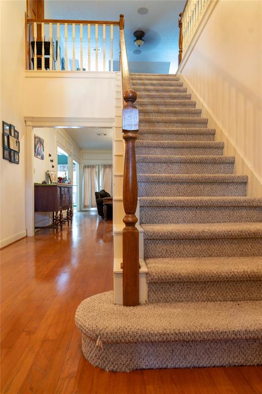 13710 Casaba Court Court, Cypress, Texas image 22