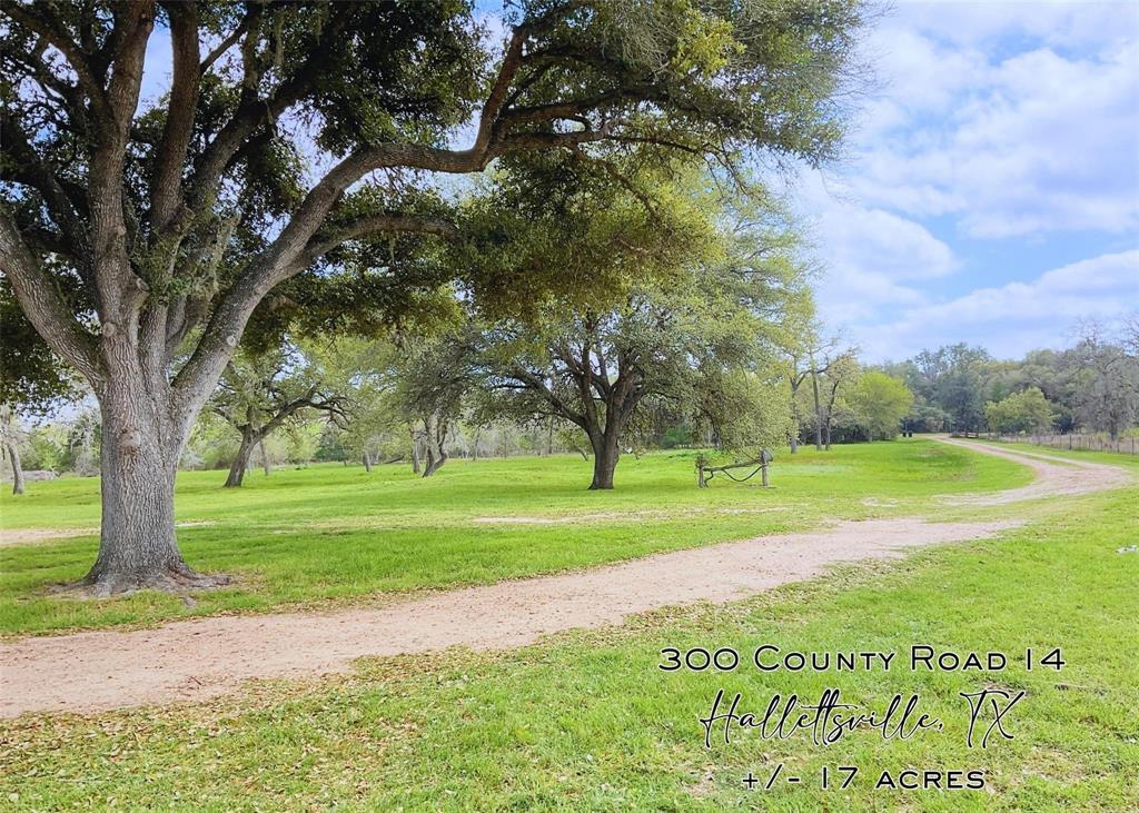 300 County Road 14, Hallettsville, Texas image 1