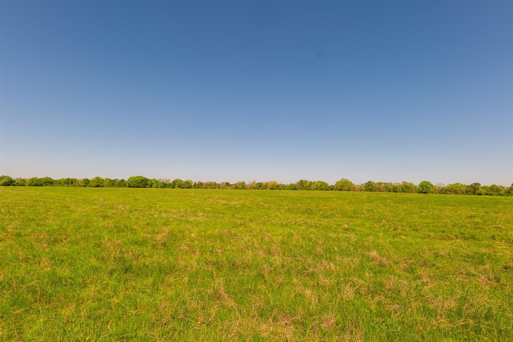 27.71 Acres County Road 125, Ledbetter, Texas image 6