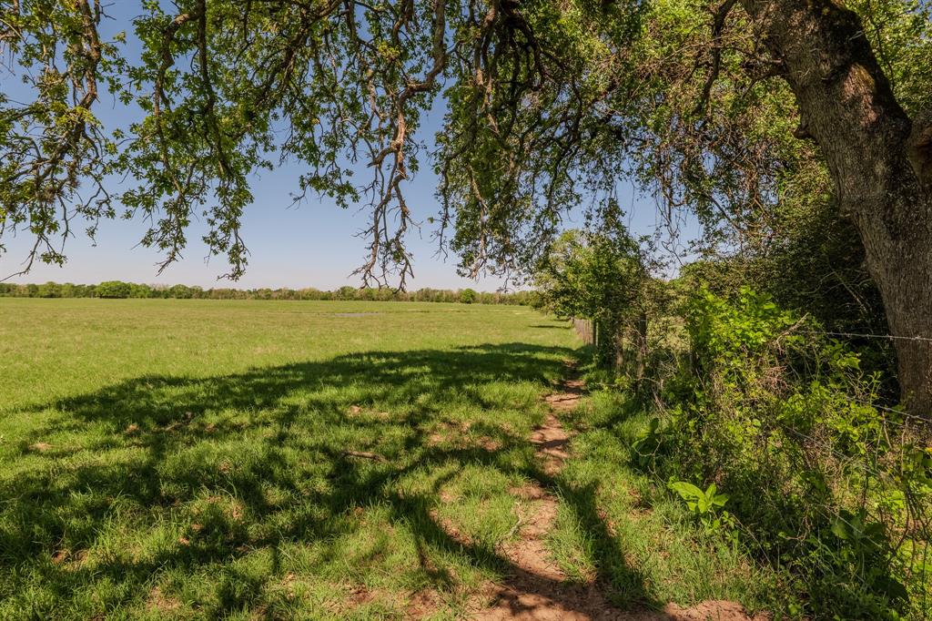 27.71 Acres County Road 125, Ledbetter, Texas image 15