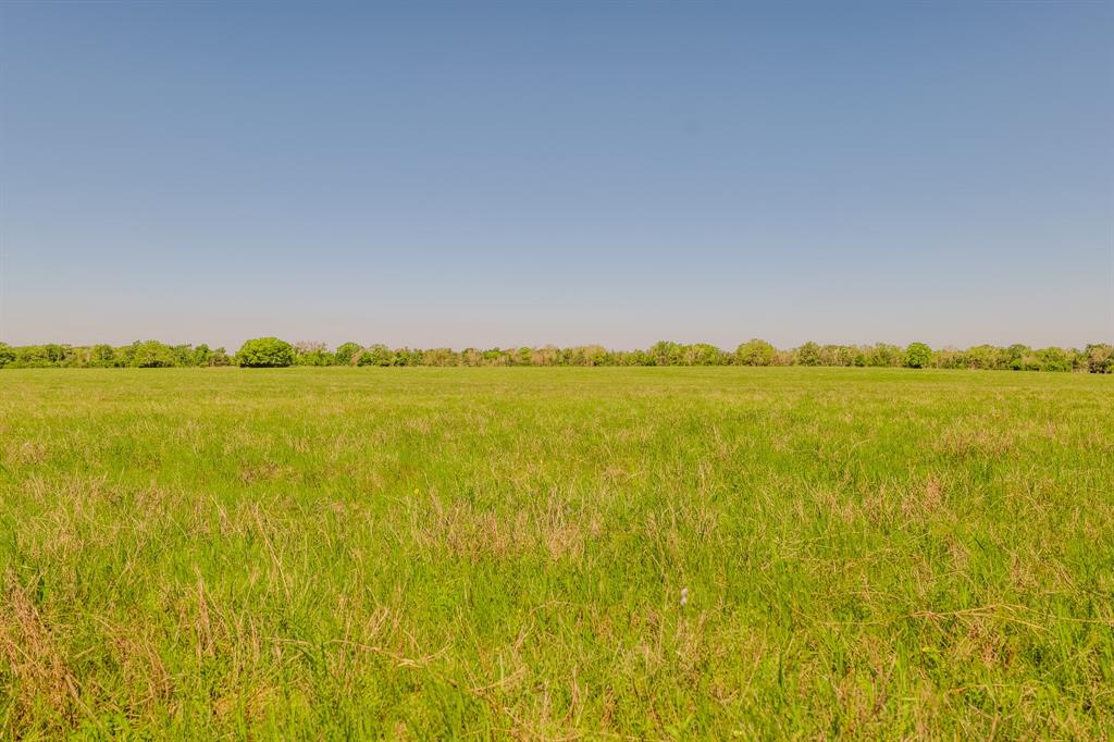 27.71 Acres County Road 125, Ledbetter, Texas image 11