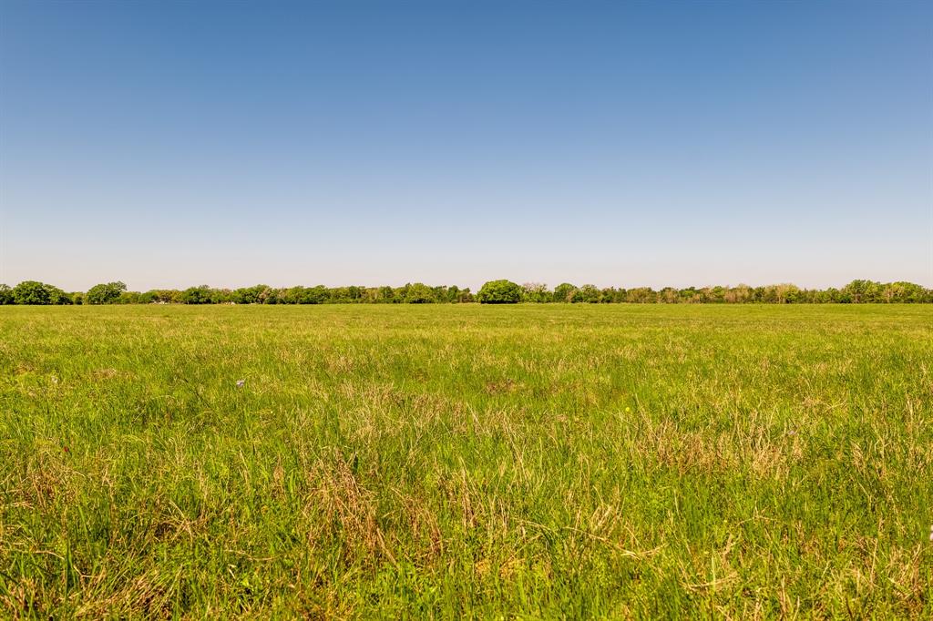 27.71 Acres County Road 125, Ledbetter, Texas image 10