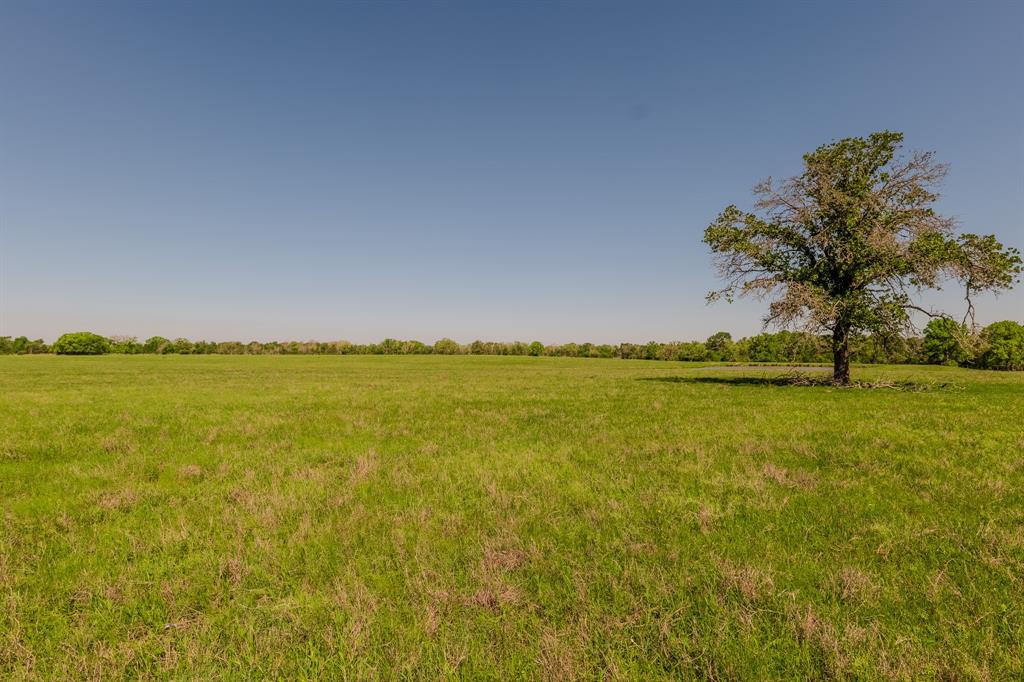 27.71 Acres County Road 125, Ledbetter, Texas image 8
