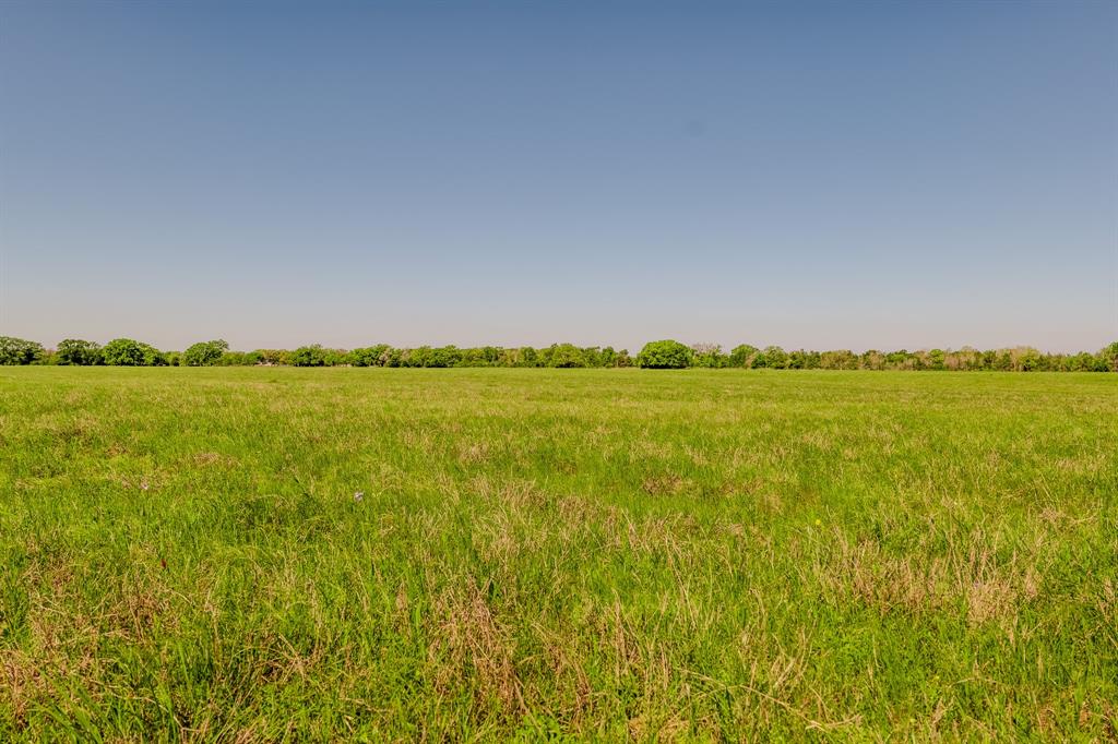 27.71 Acres County Road 125, Ledbetter, Texas image 9