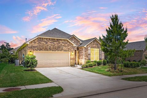 239 Spotted Saddle Court Spring TX 77382