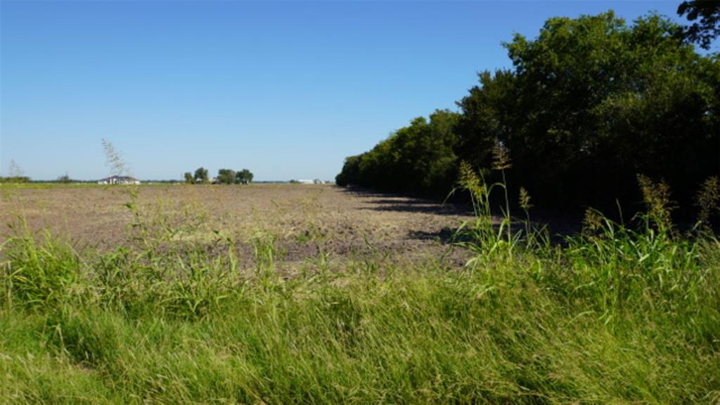 0000 Bj Dusek Road, Wallis, Texas image 8