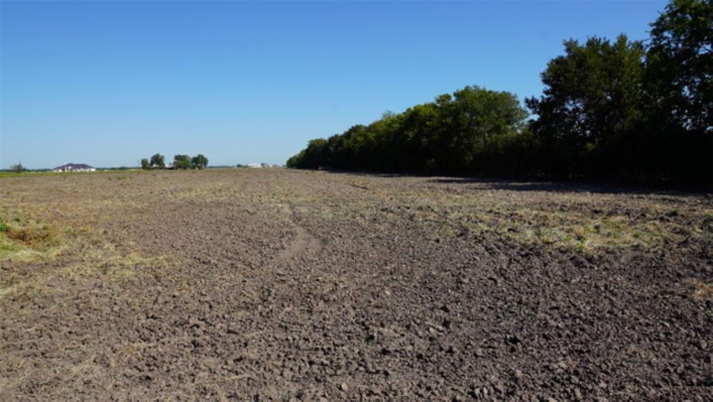 0000 Bj Dusek Road, Wallis, Texas image 3