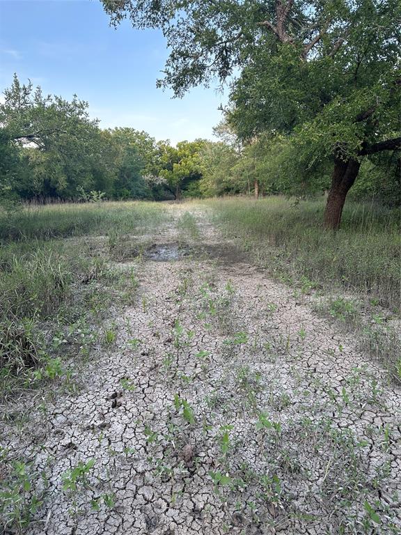 TBD Navasota Ridge Pvt, Navasota, Texas image 2