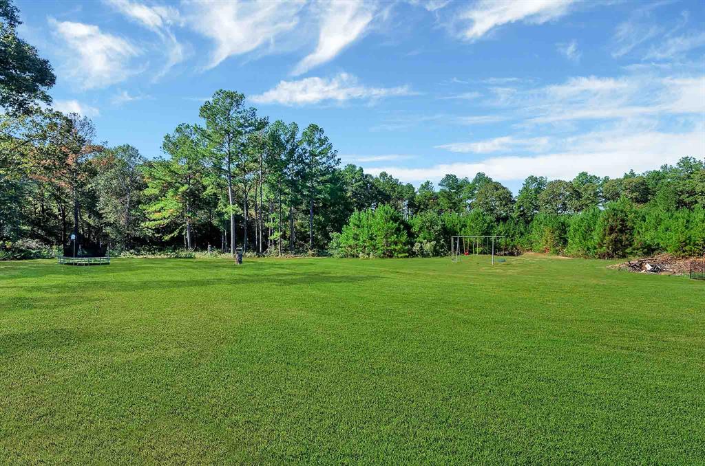 14613 Tierra Buena Extension, Navasota, Texas image 38