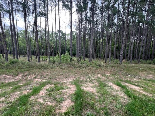 TBD Westridge Park, Livingston, Texas image 1