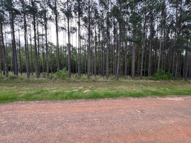 TBD Westridge Park, Livingston, Texas image 2