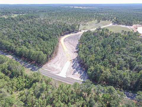 Vacant Land For Sale - 003 Lucky 13 Rd<br/> Livingston, TX 77351