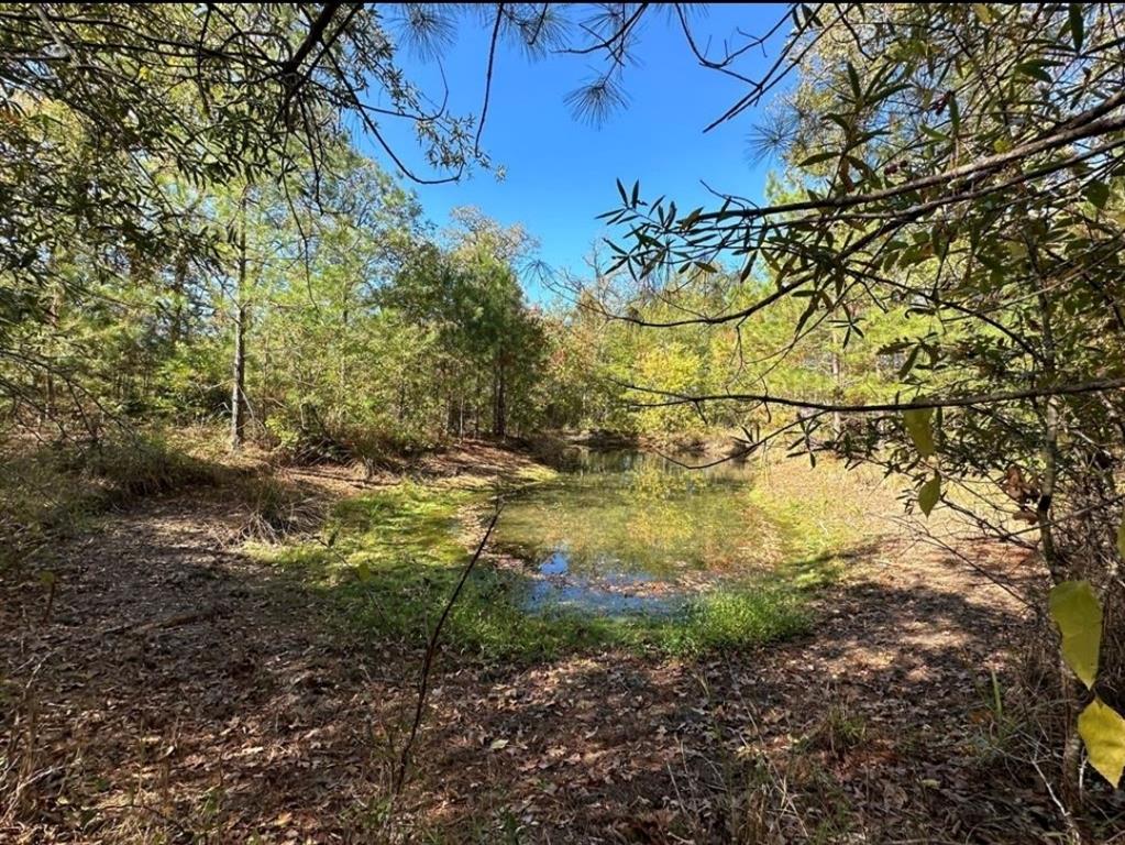 1529 Pinecrest Road, Trinity, Texas image 3