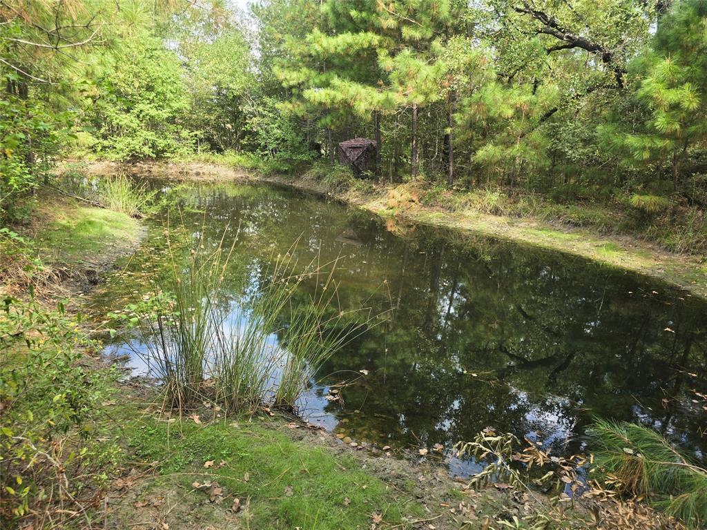 1529 Pinecrest Road, Trinity, Texas image 7