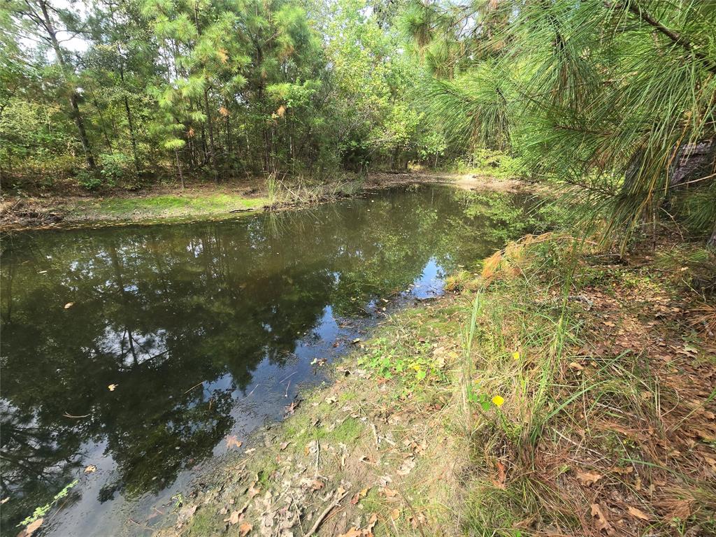 1529 Pinecrest Road, Trinity, Texas image 8