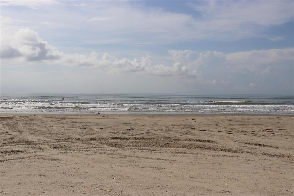 12027 Sand Dollar, Galveston, Texas image 7