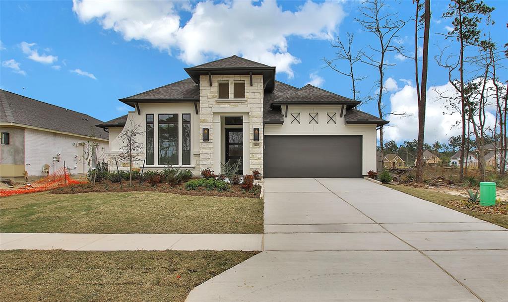 18435 Chameleon Court, Conroe, Texas image 17