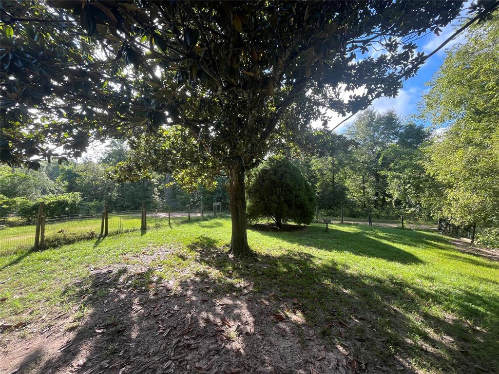 173 Bobcat Trail Trail