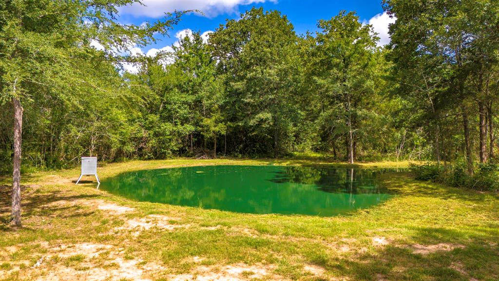 9956 Antioch Road, Midway, Texas image 26
