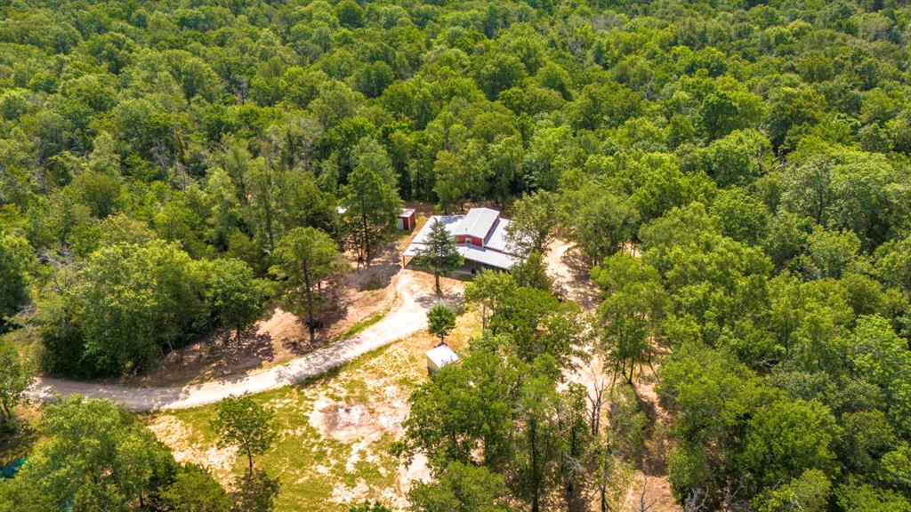 9956 Antioch Road, Midway, Texas image 8