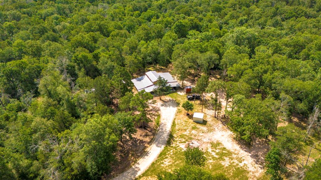 9956 Antioch Road, Midway, Texas image 7