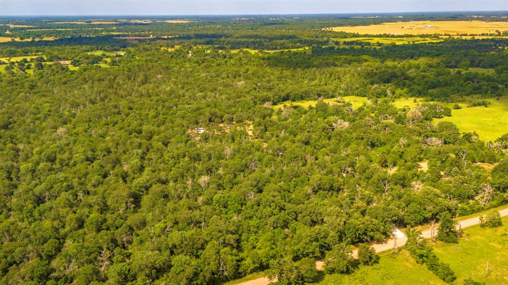 9956 Antioch Road, Midway, Texas image 35