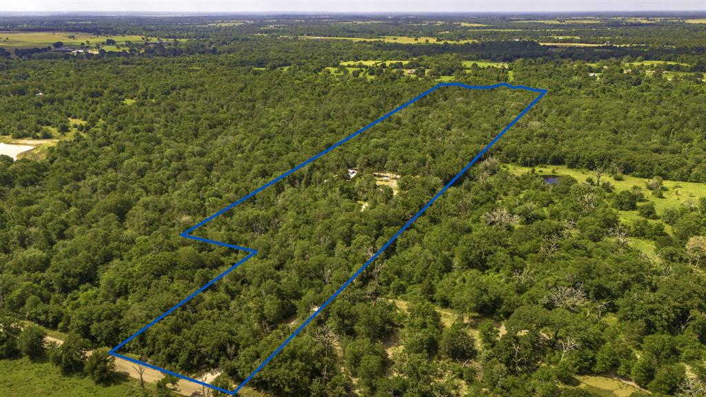 9956 Antioch Road, Midway, Texas image 42