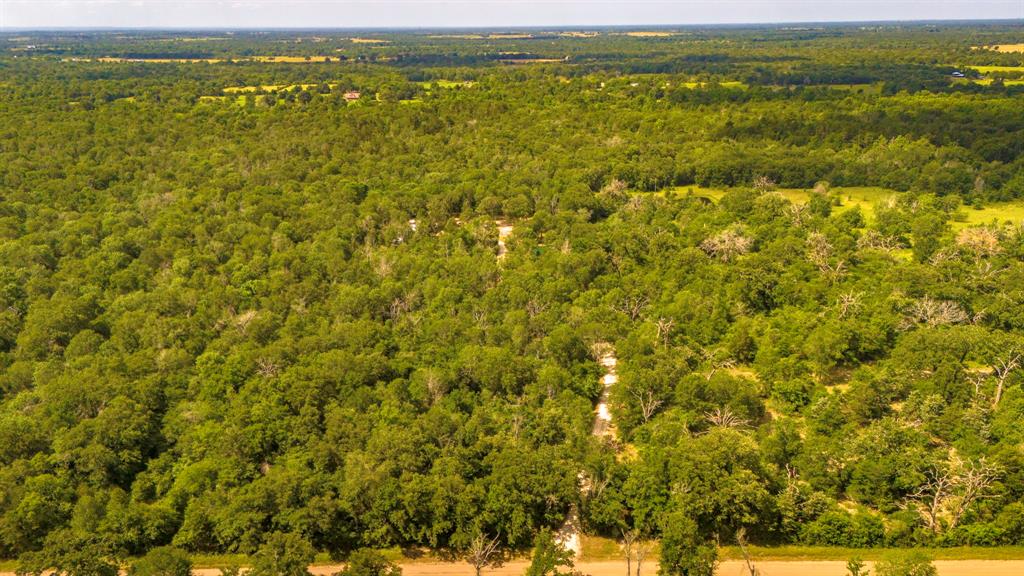 9956 Antioch Road, Midway, Texas image 37