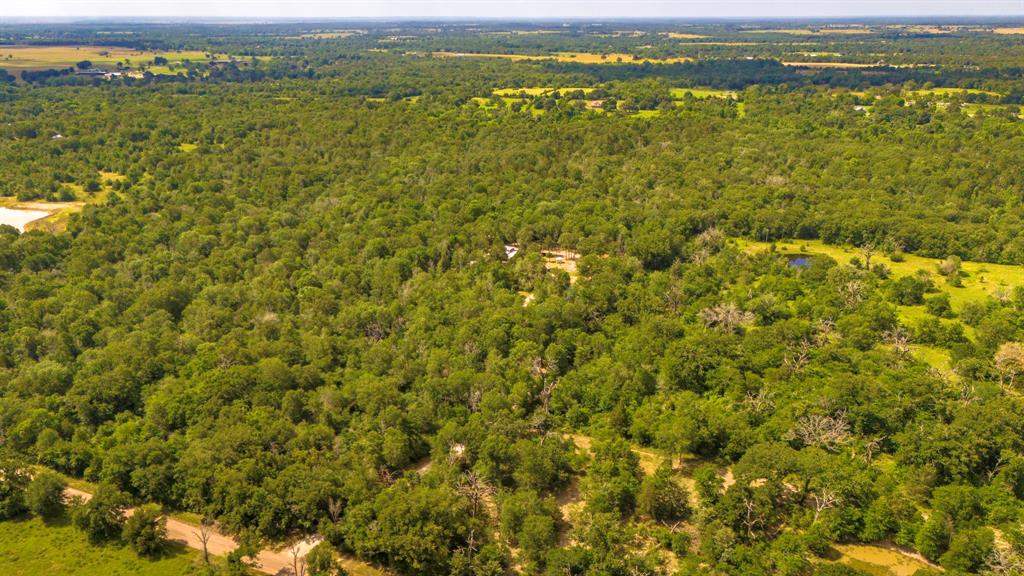9956 Antioch Road, Midway, Texas image 34