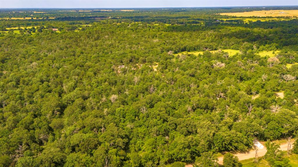 9956 Antioch Road, Midway, Texas image 36