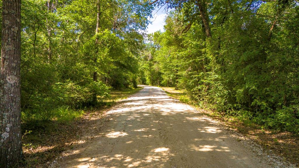 9956 Antioch Road, Midway, Texas image 27