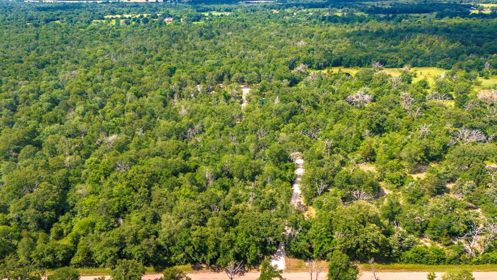 9956 Antioch Road, Midway, Texas image 38