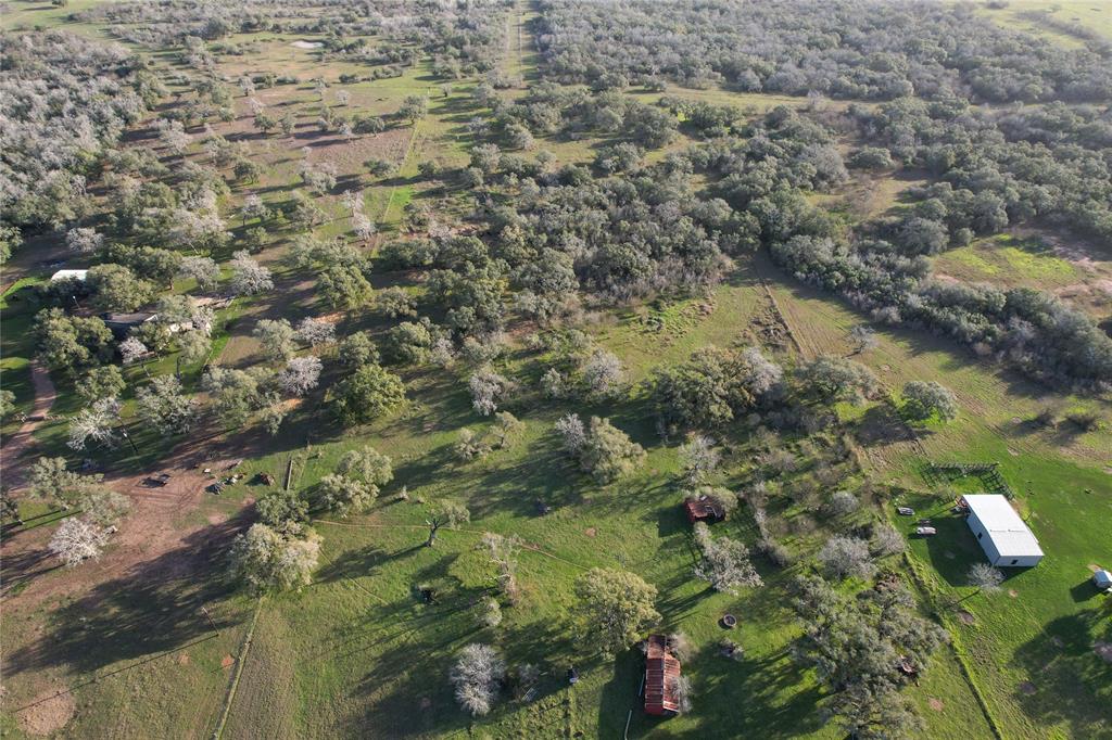 Sauer Bade Road, Cuero, Texas image 12
