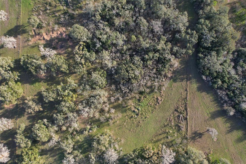 Sauer Bade Road, Cuero, Texas image 13
