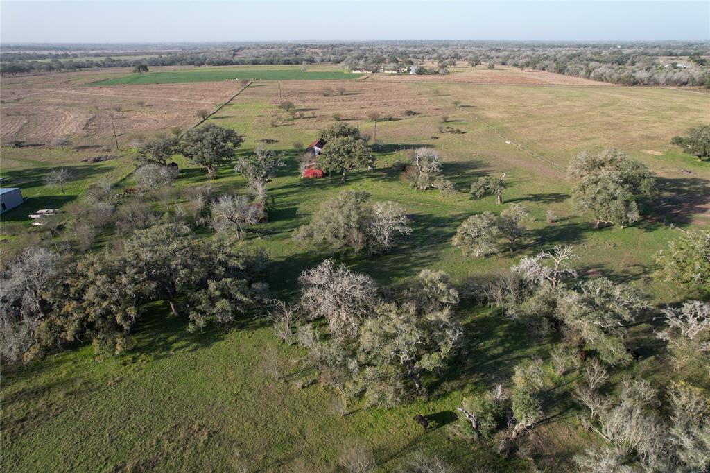 Sauer Bade Road, Cuero, Texas image 18