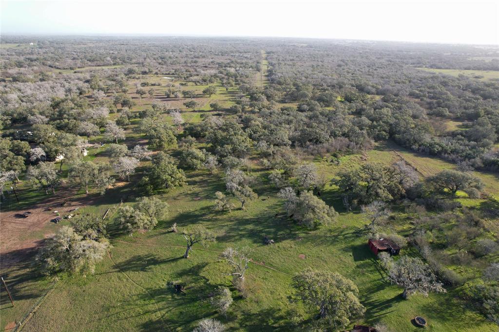 Sauer Bade Road, Cuero, Texas image 11