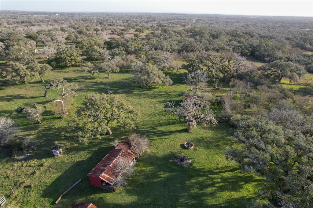 Sauer Bade Road, Cuero, Texas image 20
