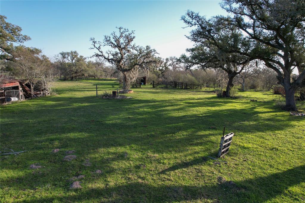 Sauer Bade Road, Cuero, Texas image 21