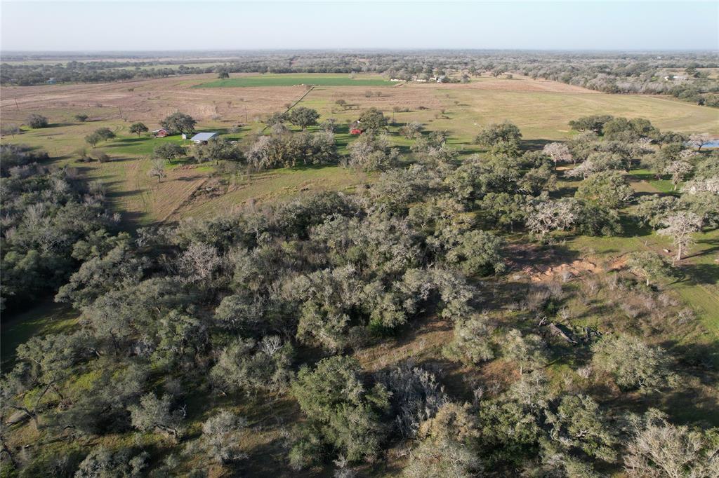 Sauer Bade Road, Cuero, Texas image 17