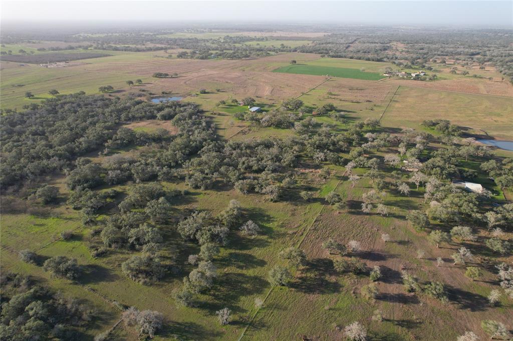 Sauer Bade Road, Cuero, Texas image 15