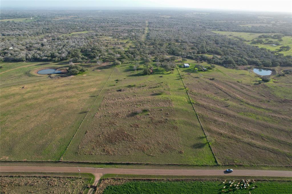Sauer Bade Road, Cuero, Texas image 8