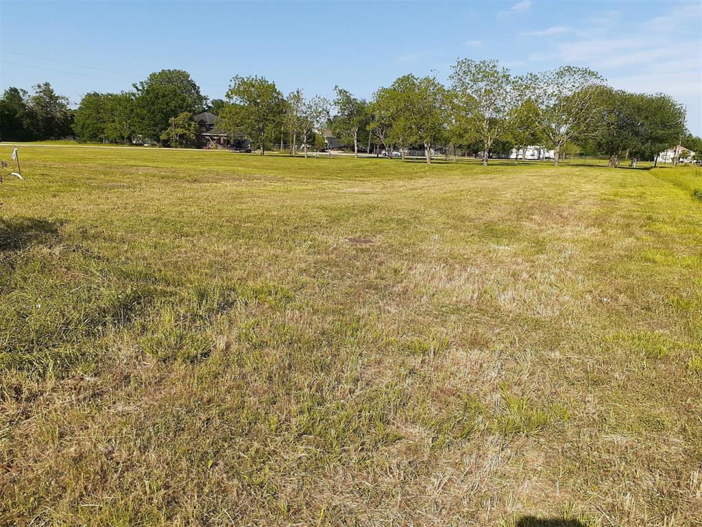 1319 Aurelia Lane, Rosenberg, Texas image 4