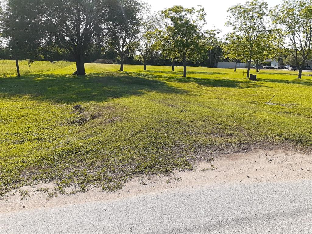 1319 Aurelia Lane, Rosenberg, Texas image 1