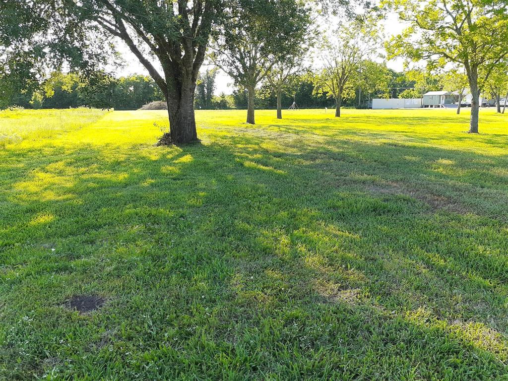 1319 Aurelia Lane, Rosenberg, Texas image 3