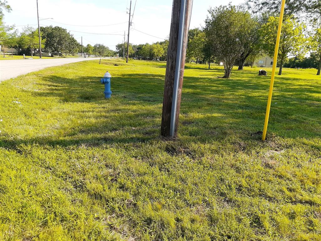 1319 Aurelia Lane, Rosenberg, Texas image 2