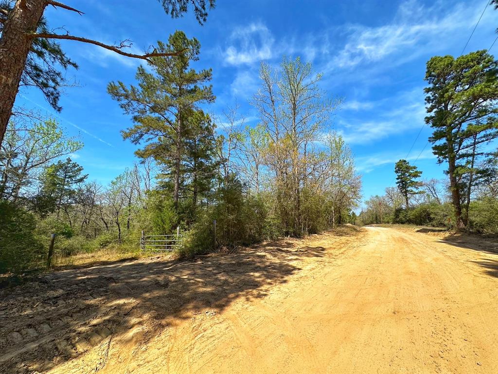 12 Ac Cr 292, Buffalo, Texas image 2
